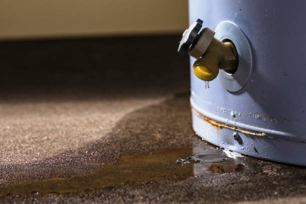 Best Water damage contractors near me  in Armada, MI