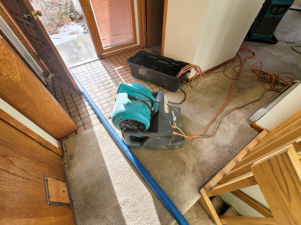 Best Flood damage cleanup  in Armada, MI
