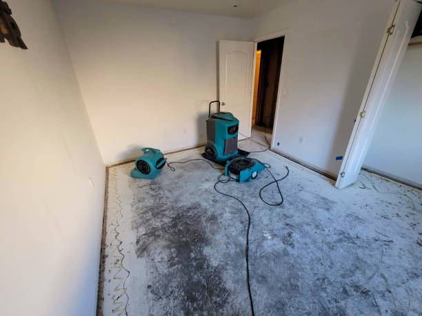 Best Local water damage restoration  in Armada, MI