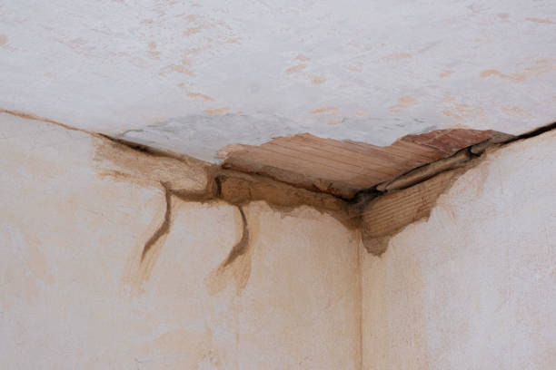 Best Basement water damage restoration  in Armada, MI