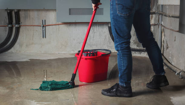 Best Sewage cleanup and water damage restoration  in Armada, MI
