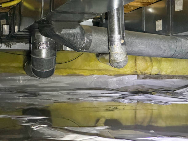 Best Professional water damage repair  in Armada, MI