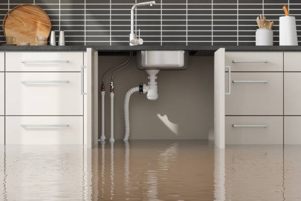 Best Water damage cleanup near me  in Armada, MI