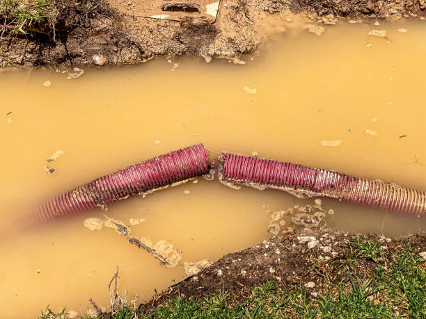 Reliable MI Water damage restoration Solutions