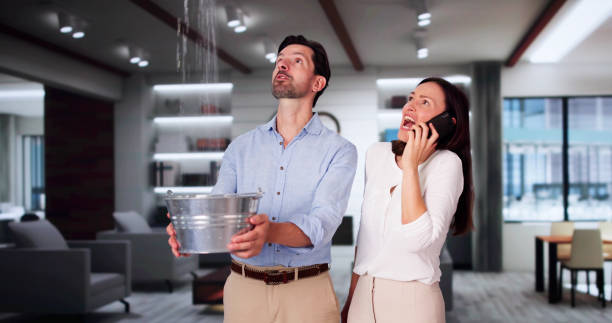 Best Professional water damage repair  in Armada, MI