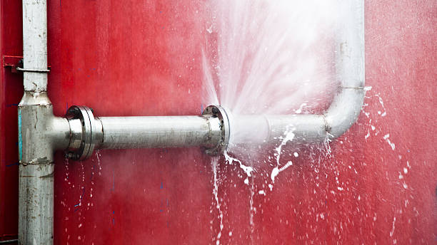 Best Flood restoration services  in Armada, MI